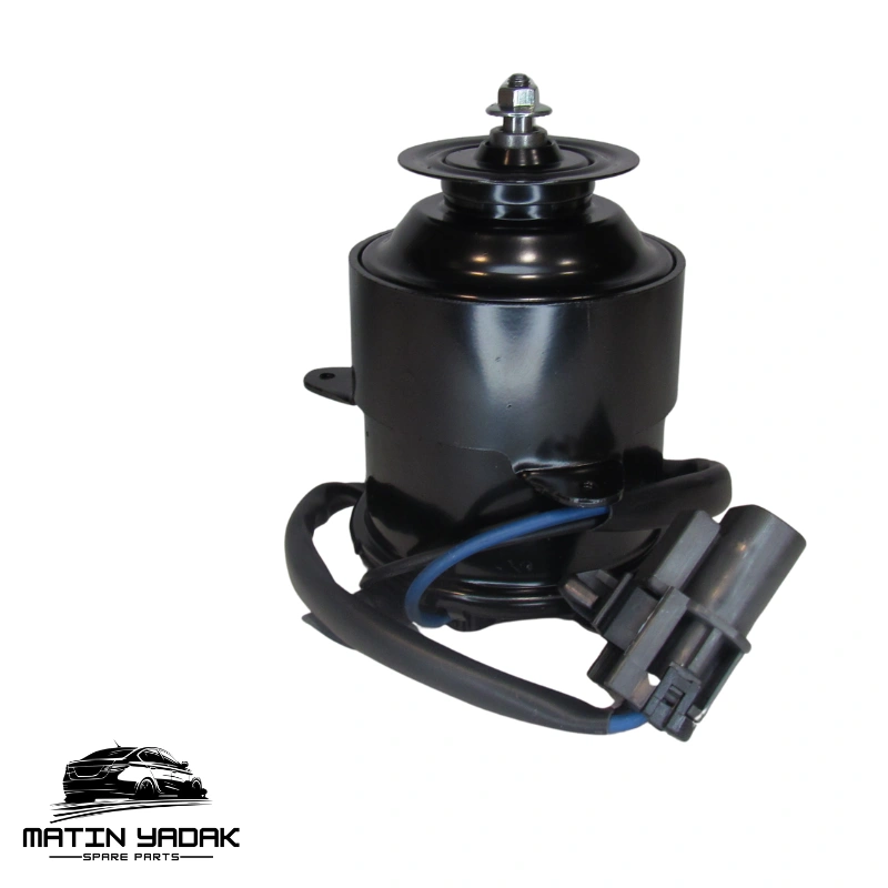 Rio fan motor (1)